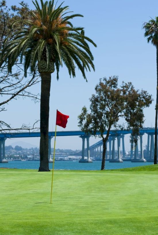 A lush golf course with a red flag on the green, surrounded by palm trees, overlooks a blue bridge and calm waters in the background.